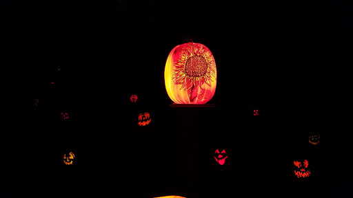 Zoo «Jack-O-Lantern Spectacular», reviews and photos, 1000 Elmwood Ave, Providence, RI 02905, USA
