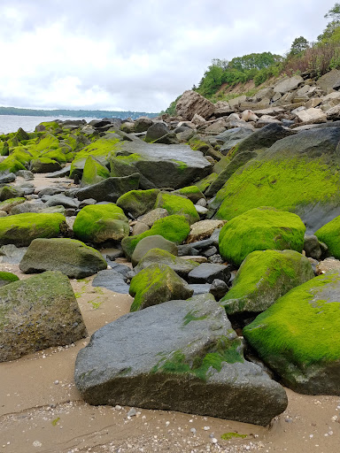 Tourist Attraction «Sands Point Preserve», reviews and photos, 127 Middle Neck Rd, Sands Point, NY 11050, USA