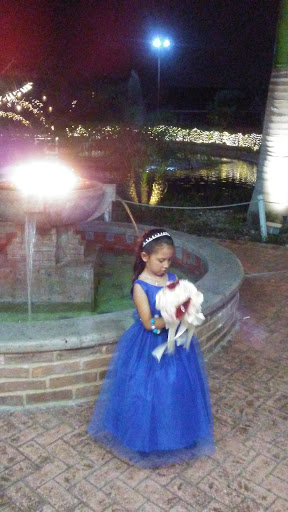 Event Venue «Quinta Real Events», reviews and photos, 2620 S Gardenia St, Pharr, TX 78577, USA