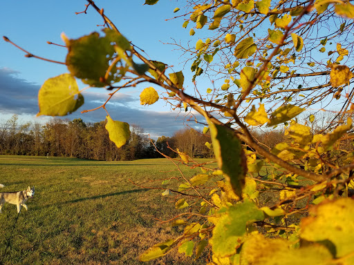 Park «Sherando Park», reviews and photos, 255 Lakeview Cir, Stephens City, VA 22655, USA