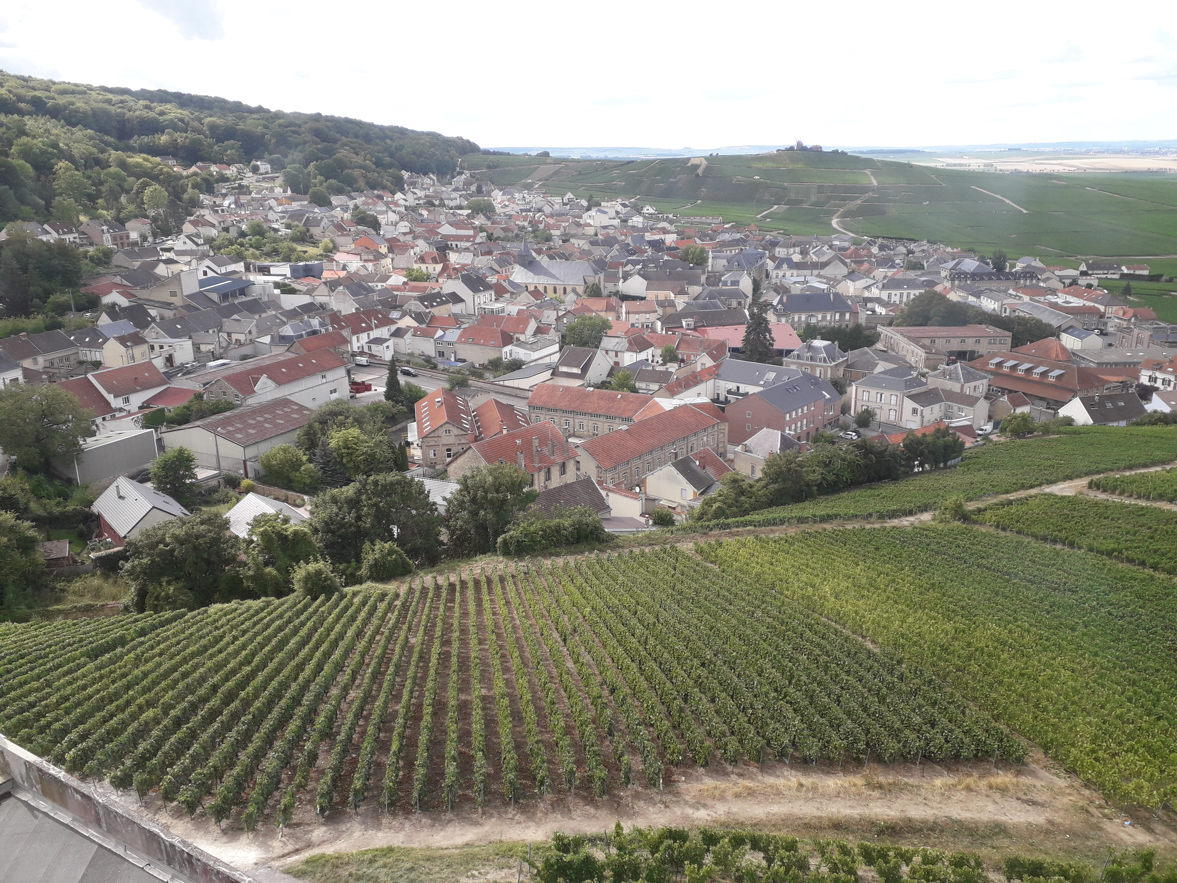 Photo n° 2 de l'avis de Cathy.r fait le 29/08/2018 à 13:25