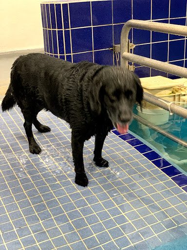 Pet Supply Store «Pet Depot Inc», reviews and photos, 2151 Greenspring Dr, Lutherville-Timonium, MD 21093, USA