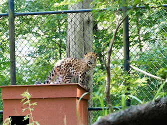 Connecticut's Beardsley Zoo