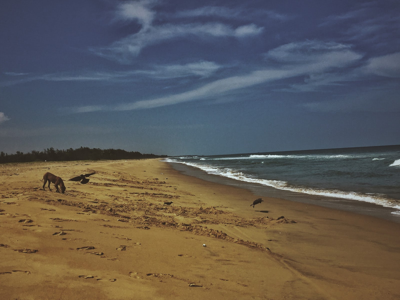 Φωτογραφία του Pudhukuppam Beach με επίπεδο καθαριότητας εν μέρει καθαρό