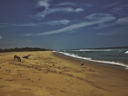 Zdjęcie Pudhukuppam Beach z poziomem czystości głoska bezdźwięczna