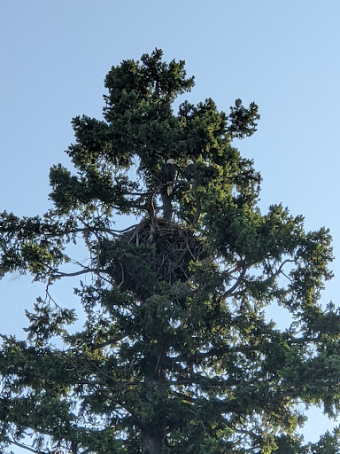 Golf Course «Legion Memorial Golf Course», reviews and photos, 144 W Marine View Dr, Everett, WA 98201, USA