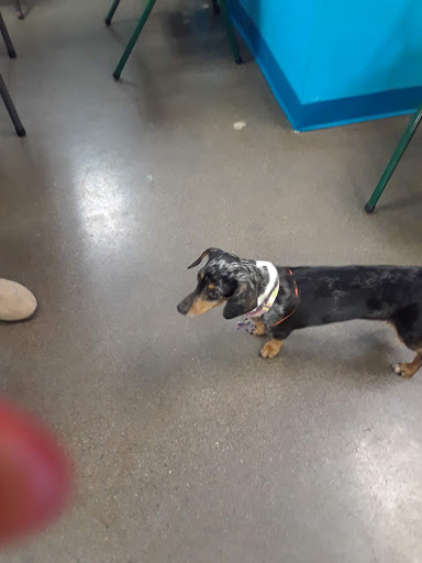 Pet Supply Store «Atlas Pet Supply», reviews and photos, 12761 Central Ave NE, Blaine, MN 55434, USA