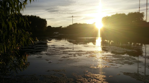 Park «Heritage Oaks Park», reviews and photos, 310 N Fairfield Rd, Hawthorn Woods, IL 60047, USA