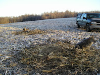 Fingerlakes Wildlife & Pest Control Inc. - Photo 4 - Car repair in , Rochester