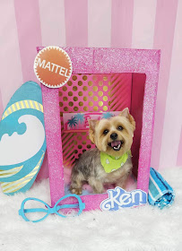 Canine Culture - Photo 4 - Car repair in Laredo, TX, Laredo