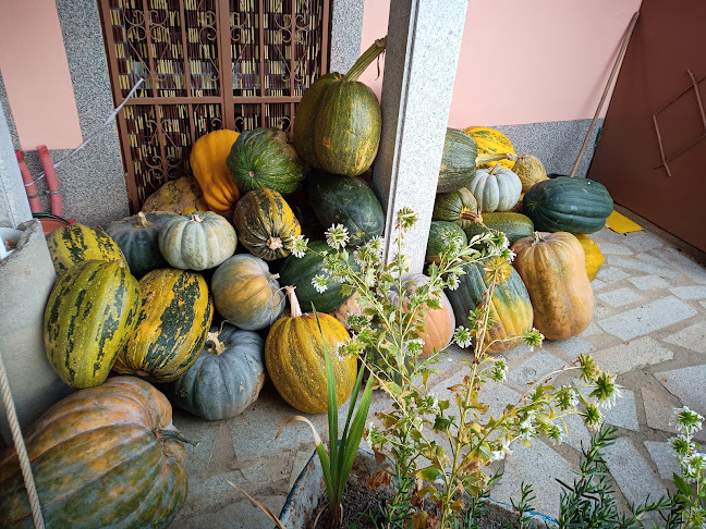 Mini Mercado Trabulo