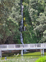 Centennial Garden Waterfall