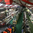 Angling Direct Fishing Tackle Chelmsford