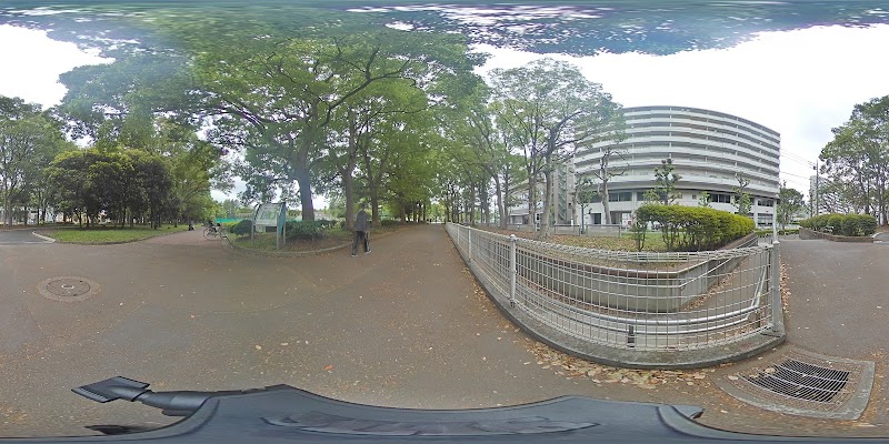 東京都立赤塚公園 東京都板橋区高島平 公園 公園 グルコミ