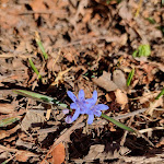 Photo n°4 de l'avis de Alessandra.e fait le 11/03/2023 à 17:03 sur le  Agriturismo La Pratolina, Alpe Comana à Schignano