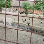 Photo n°4 de l'avis de Giuseppe.a fait le 01/05/2023 à 21:16 sur le  Agriturismo Cascina Venesia à Mezzanino