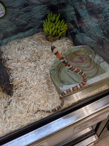 Pet Supply Store «Petco Animal Supplies», reviews and photos, 1215-1309 NJ-33 #1, Hamilton Township, NJ 08690, USA