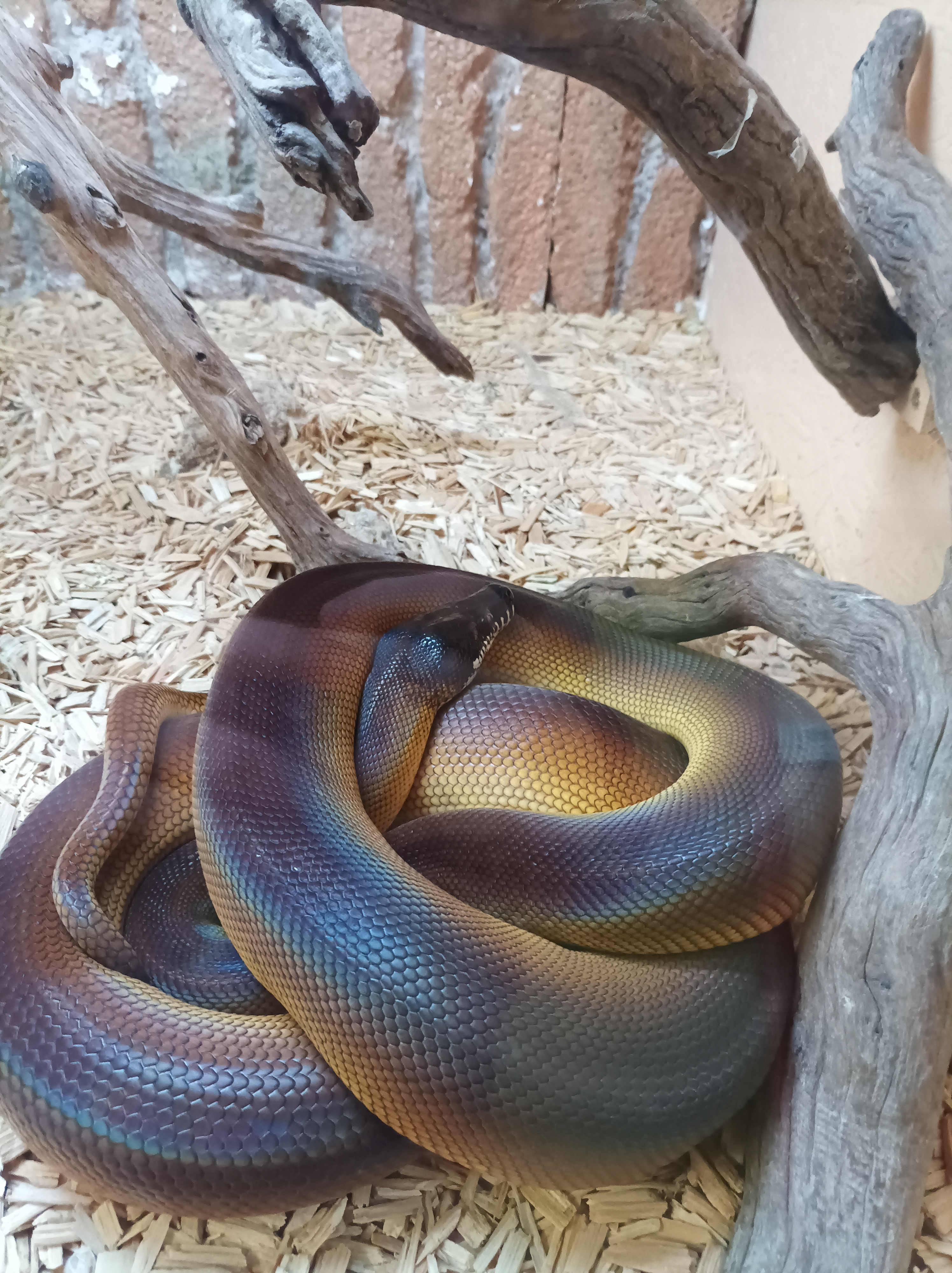 Photo n° 1 de l'avis de Manel.i fait le 19/03/2022 à 09:46