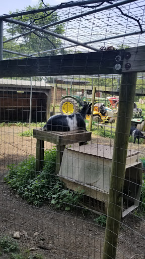 Produce Market «Highland Orchards Farm Market», reviews and photos, 1431 Foulk Rd, Wilmington, DE 19803, USA