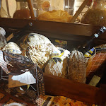 Photo n°2 de l'avis de Christine. fait le 01/08/2019 à 20:22 sur le  Trattoria Corrieri à Parma