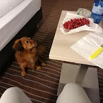 Photo n°1 de l'avis de Doris.o fait le 08/03/2023 à 06:55 sur le  AMBER ECONTEL München à Munich