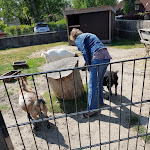 Photo n°1 de l'avis de Sofa.e fait le 10/06/2023 à 14:17 sur le  Hofcafe Klausdorf à Fehmarn