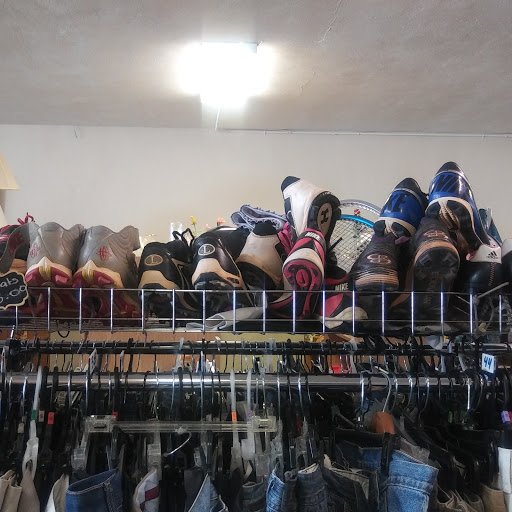 Home Goods Store «Paws & Claws Thrift Store», reviews and photos, 132 E Broad St, Groveland, FL 34736, USA