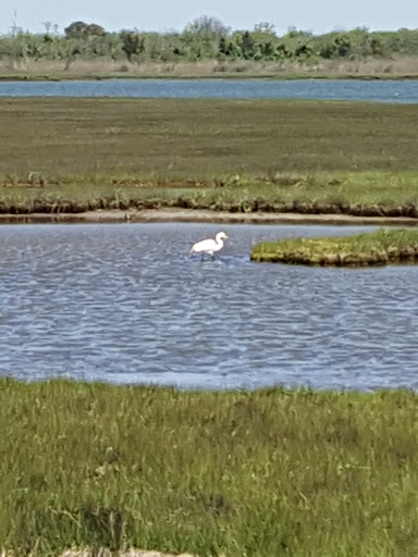 Liquor Store «Plaza Discount Liquors», reviews and photos, 5215 Wellington Ave, Ventnor City, NJ 08406, USA