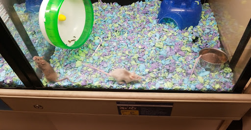Pet Supply Store «PetSmart», reviews and photos, 1819 NE Pine Island Rd, Cape Coral, FL 33909, USA