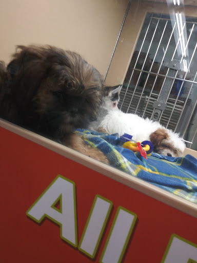 Pet Store «Petland», reviews and photos, 1600 Turner McCall Blvd, Rome, GA 30161, USA