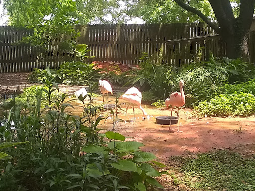 Zoo «Gulf Breeze Zoo», reviews and photos, 5701 Gulf Breeze Pkwy, Gulf Breeze, FL 32563, USA