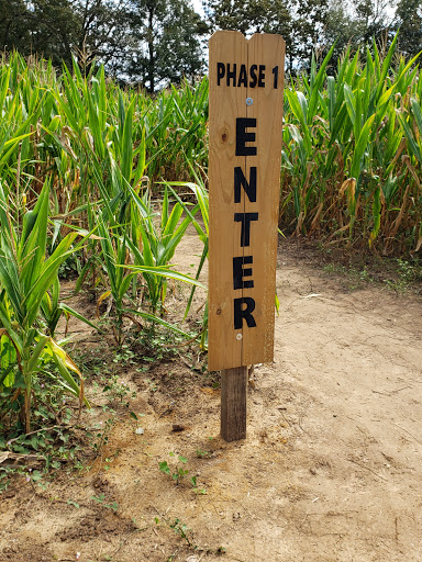 Tourist Attraction «Cajun Country Corn», reviews and photos, 40833 LA-16, Amite City, LA 70422, USA