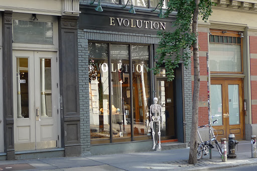 The Evolution Store