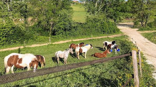 Ecurie des Petites Fontaines EDPF à Villetoureix