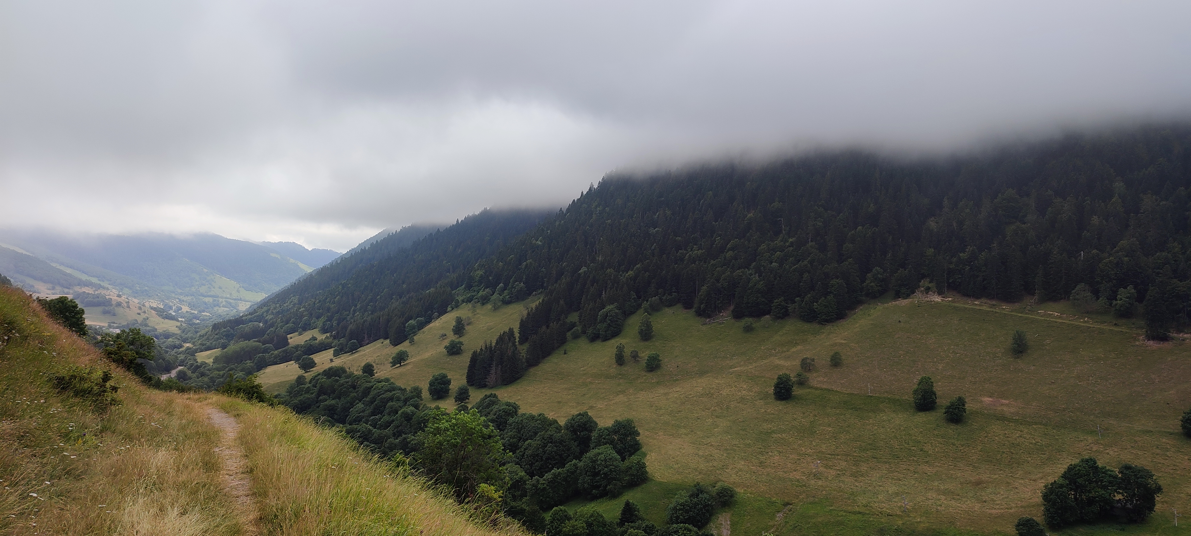 Photo n° 2 de l'avis de Eric.T fait le 26/07/2021 à 19:44