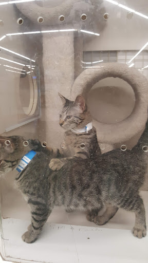 Pet Supply Store «Petco Animal Supplies», reviews and photos, 3372 Cobb Pkwy NW #300, Acworth, GA 30101, USA