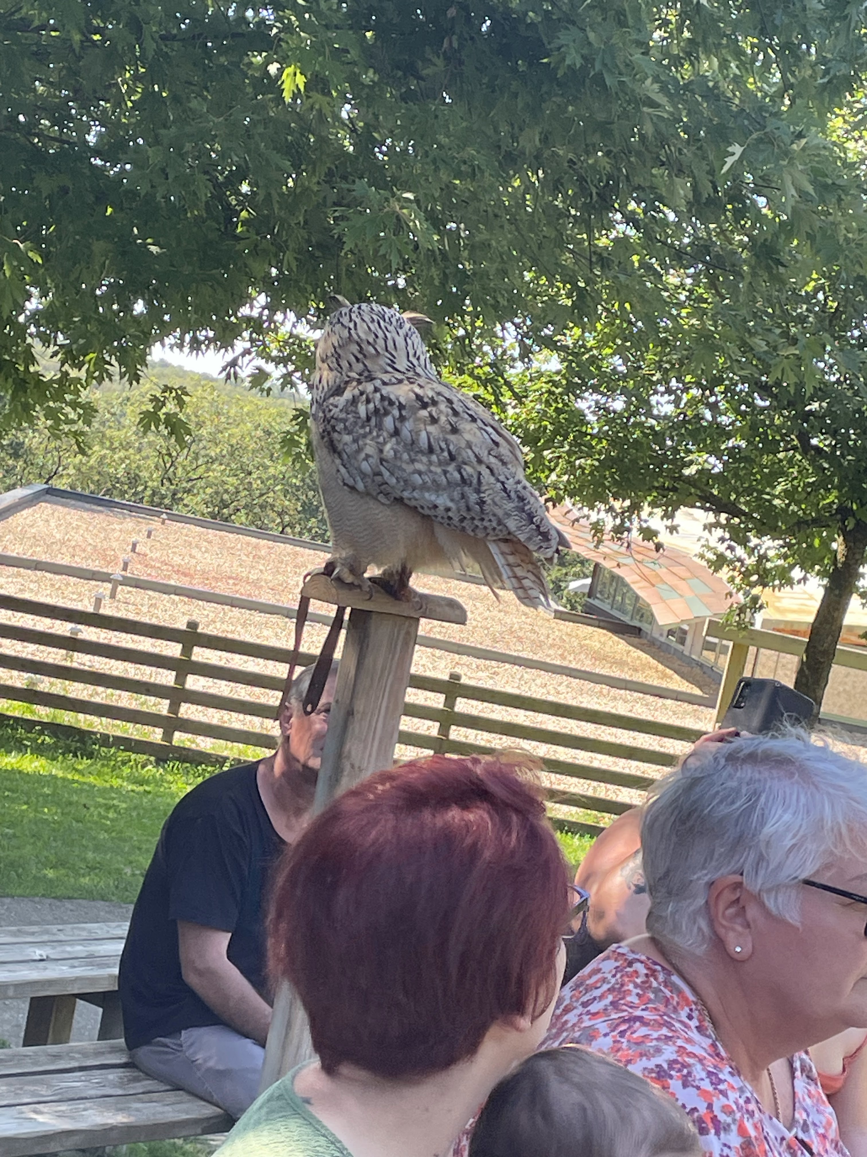 Photo n° 8 de l'avis de catherine.h fait le 22/08/2023 à 10:19