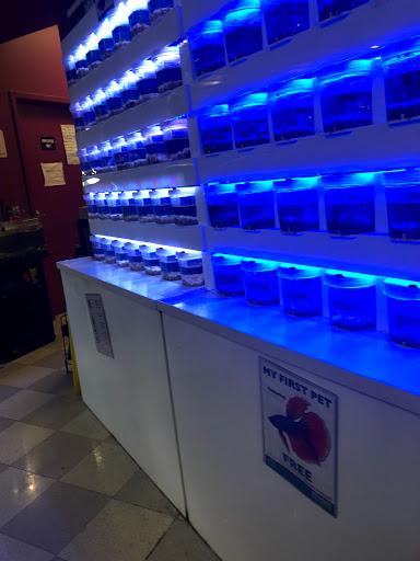 Pet Store «Petland Las Vegas», reviews and photos, 8800 W Charleston Blvd #3, Las Vegas, NV 89145, USA