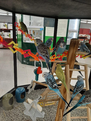 Pet Supply Store «Petco Animal Supplies», reviews and photos, 6067 Greenback Ln, Citrus Heights, CA 95621, USA