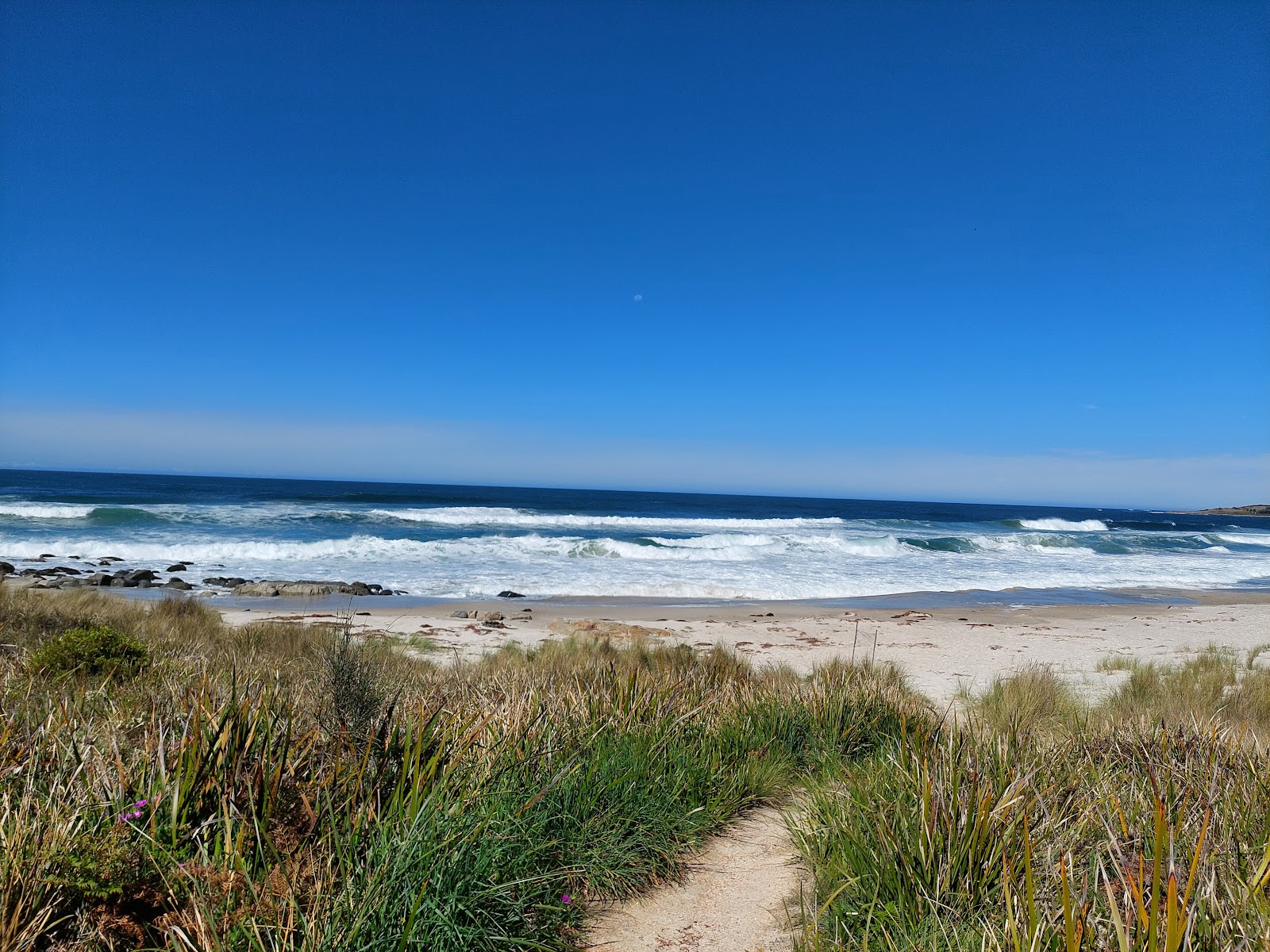 Foto de Four Mile Creek Beach - lugar popular entre os apreciadores de relaxamento