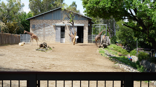 Zoo «Micke Grove Zoo», reviews and photos, 11793 N Micke Grove Rd, Lodi, CA 95240, USA