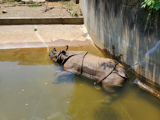 Zoo «Mesker Park Zoo», reviews and photos, 1545 Mesker Park Dr, Evansville, IN 47720, USA