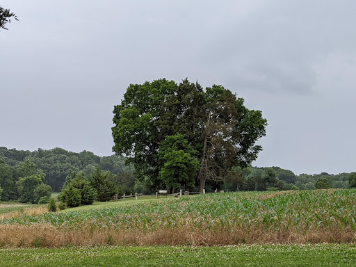 National Park «Wilderness Battlefield», reviews and photos, 35347 Constitution Hwy, Orange, VA 22160, USA