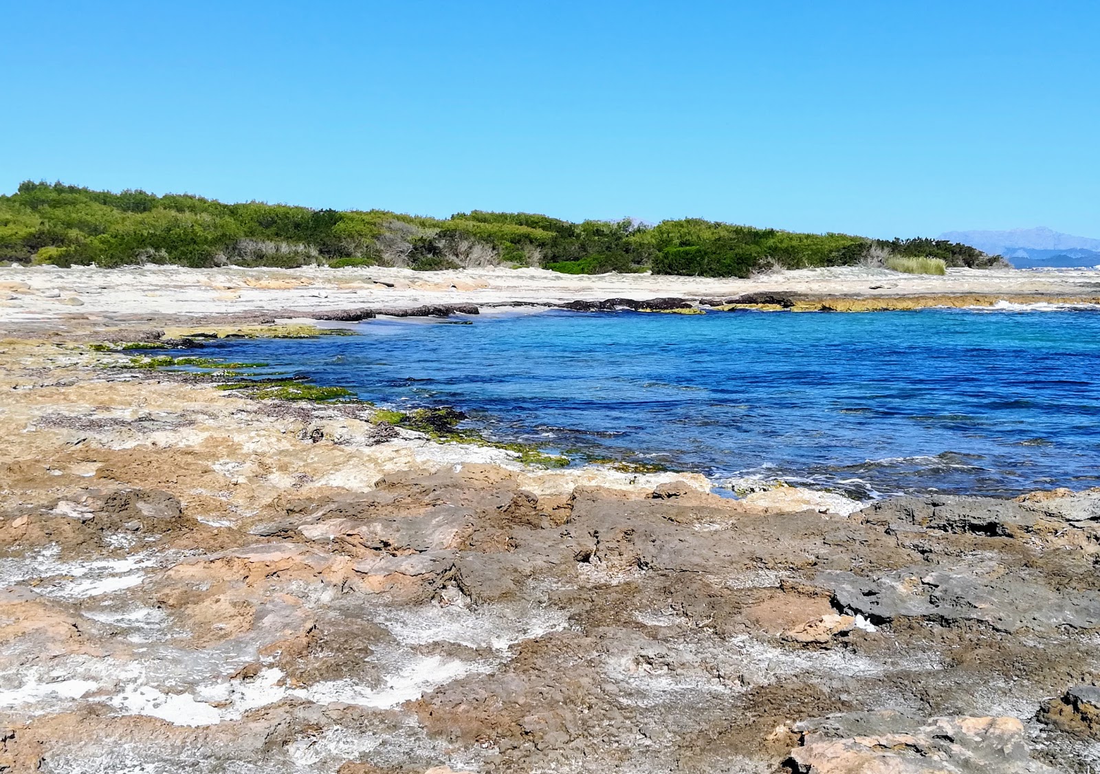 Foto van Platja de Son Real gelegen in een natuurlijk gebied