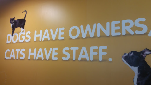 Insurance Agency «Petplan Pet Insurance - North America», reviews and photos