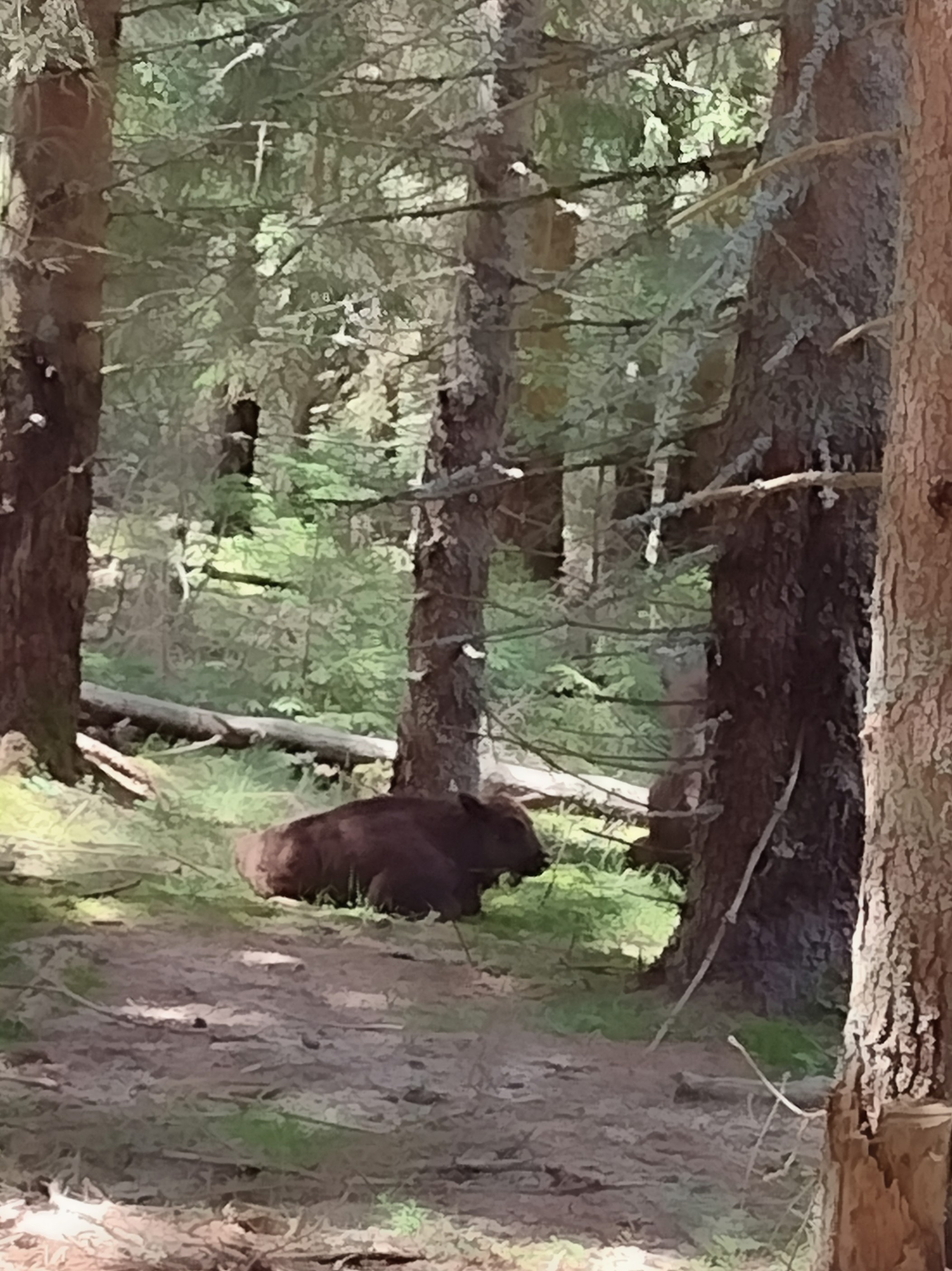 Photo n° 2 de l'avis de Anaïs.o fait le 17/07/2023 à 11:34