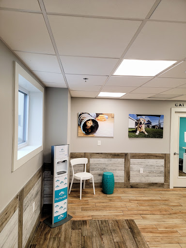 Kennel «Pampered Pets», reviews and photos, 601 Concord Ave, Charlottesville, VA 22903, USA