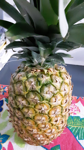 Supermarket «Super Stop & Shop», reviews and photos, 180 Danbury Rd, New Milford, CT 06776, USA