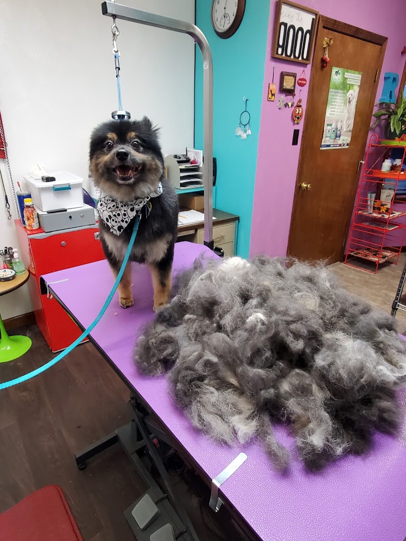 Robyn's Dog Grooming