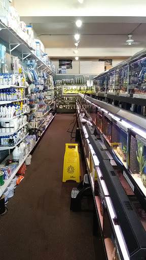 The Wet Spot Tropical Fish